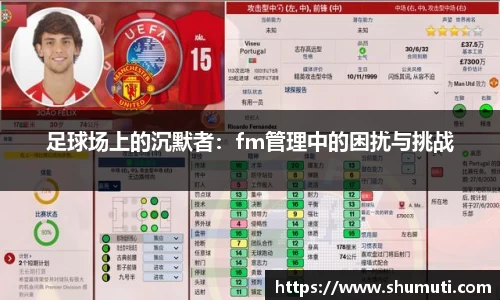 足球场上的沉默者：fm管理中的困扰与挑战